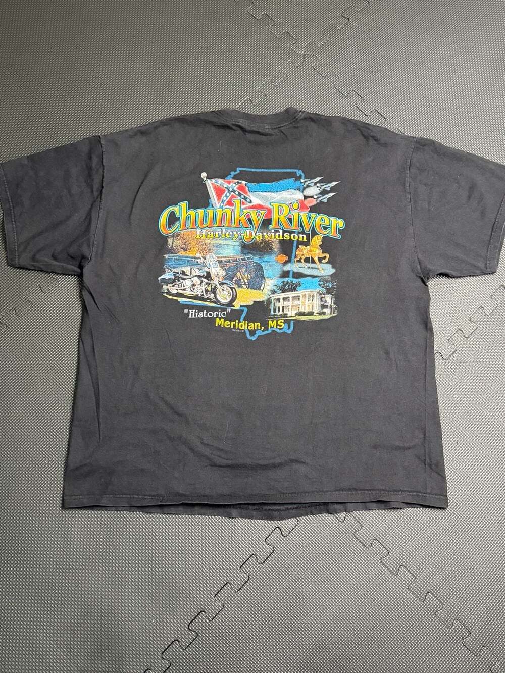 Vintage Harley-Davidson Shut and Ride Up T-Shirt Chunky River Meridian, MS